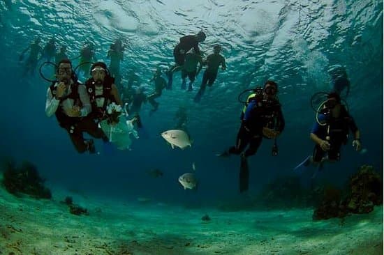 Diving - Underwater coral reef