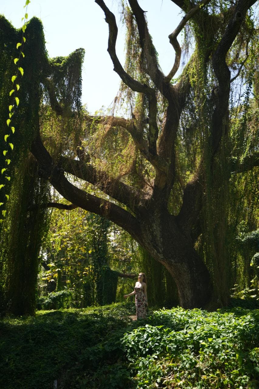 Excursions - Havana City Tour