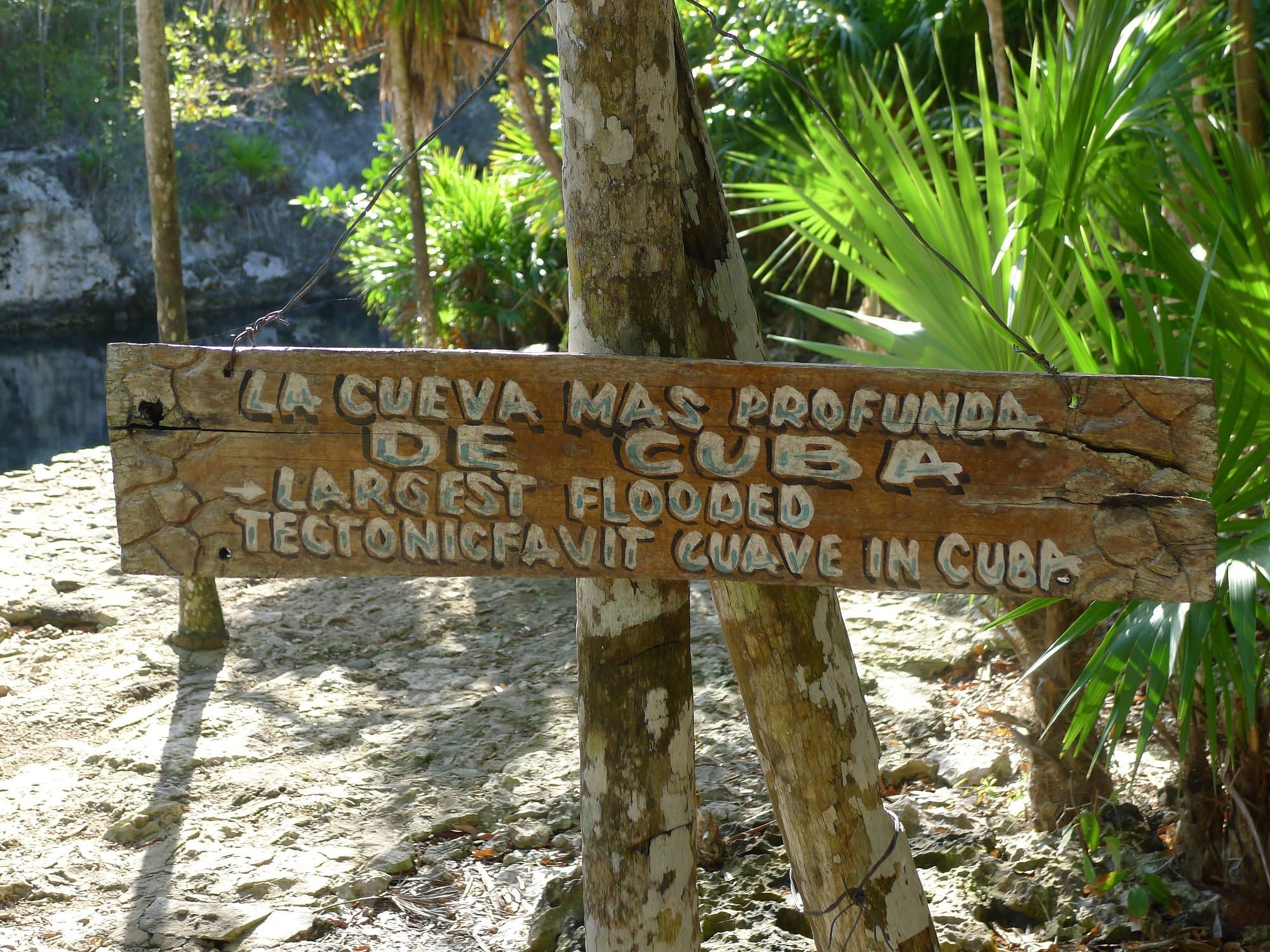 Карибское море с крокодилами - Image 1