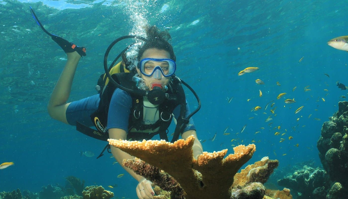 Приключение Матансас и Пещера Сатурн - Image 2