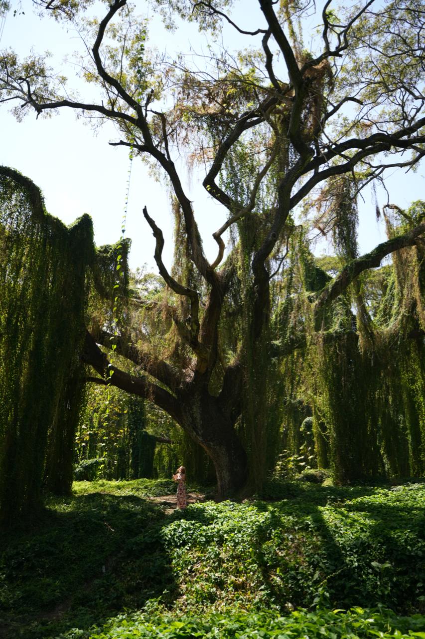 Гавана Специальная и Церемония Пушки - Image 3