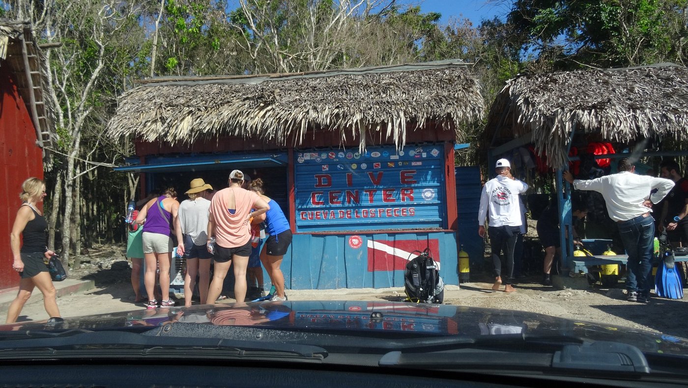 Карибское море с крокодилами - Image 1