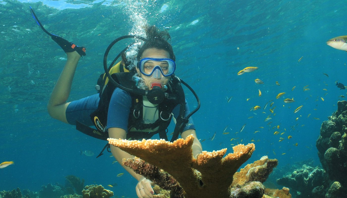 Приключение Матансас и Пещера Сатурн - Image 1